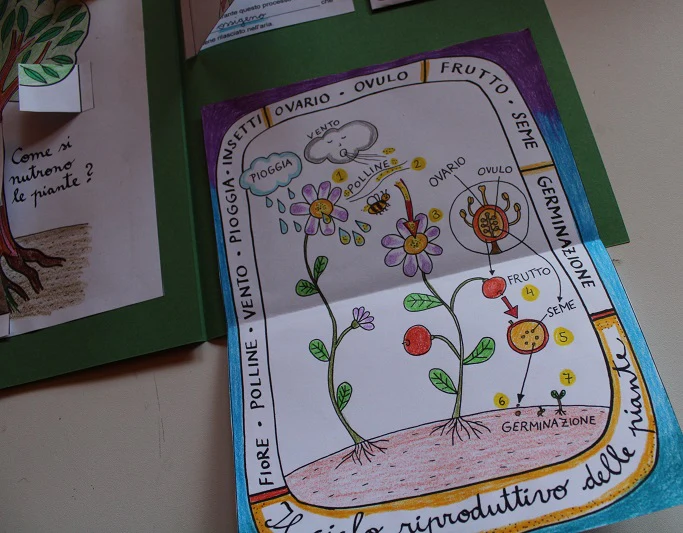 Corso di Scienze 3 Elementare. Un anno in un mese. Formato Pdf. - immagine 6