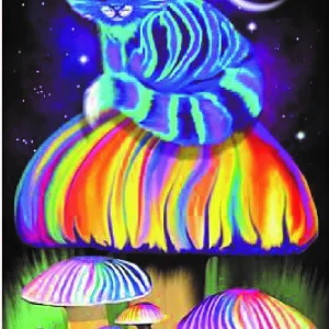 Diamond painting Fantasy Cat