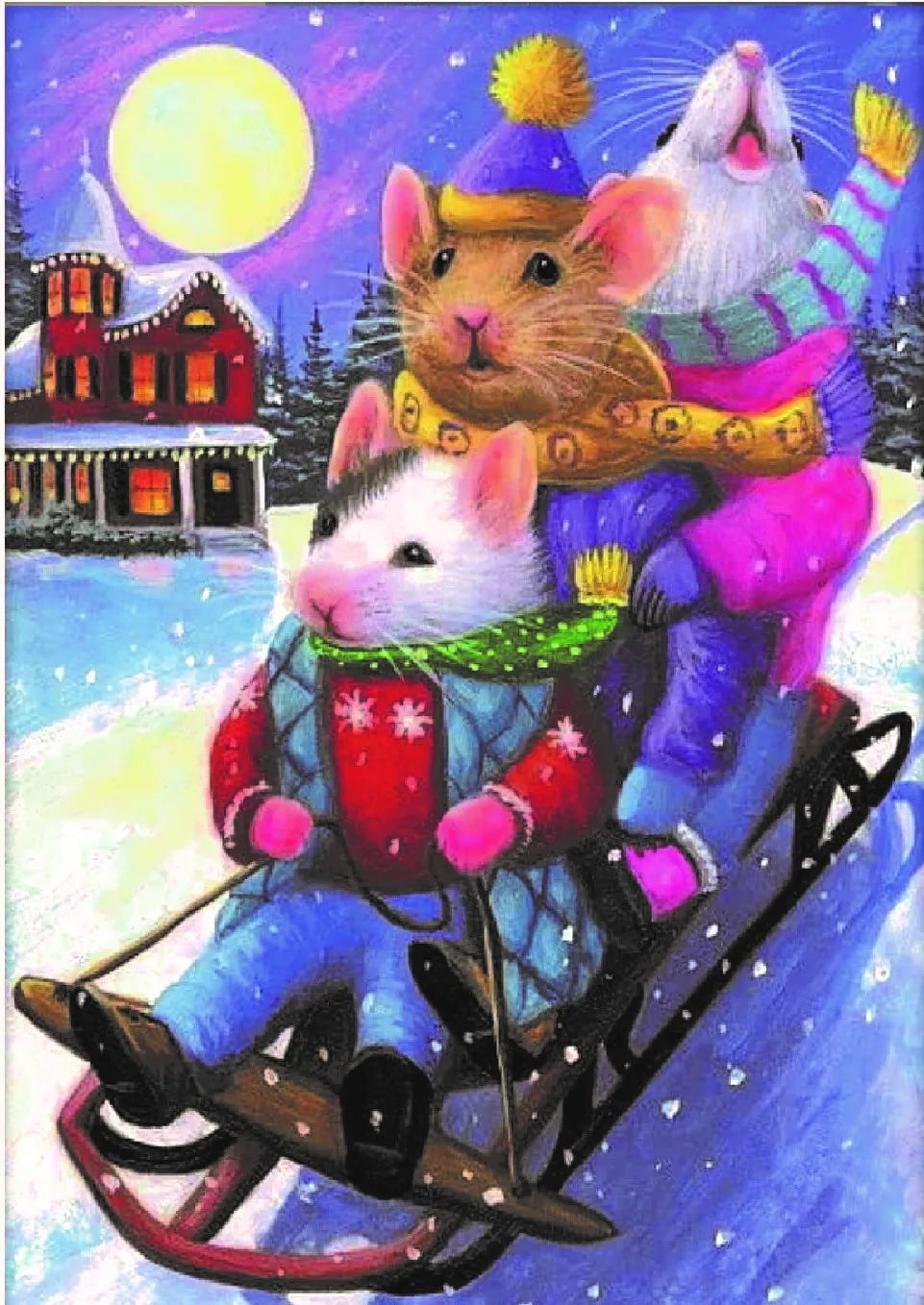 Diamond painting Happy Snow - immagine 2