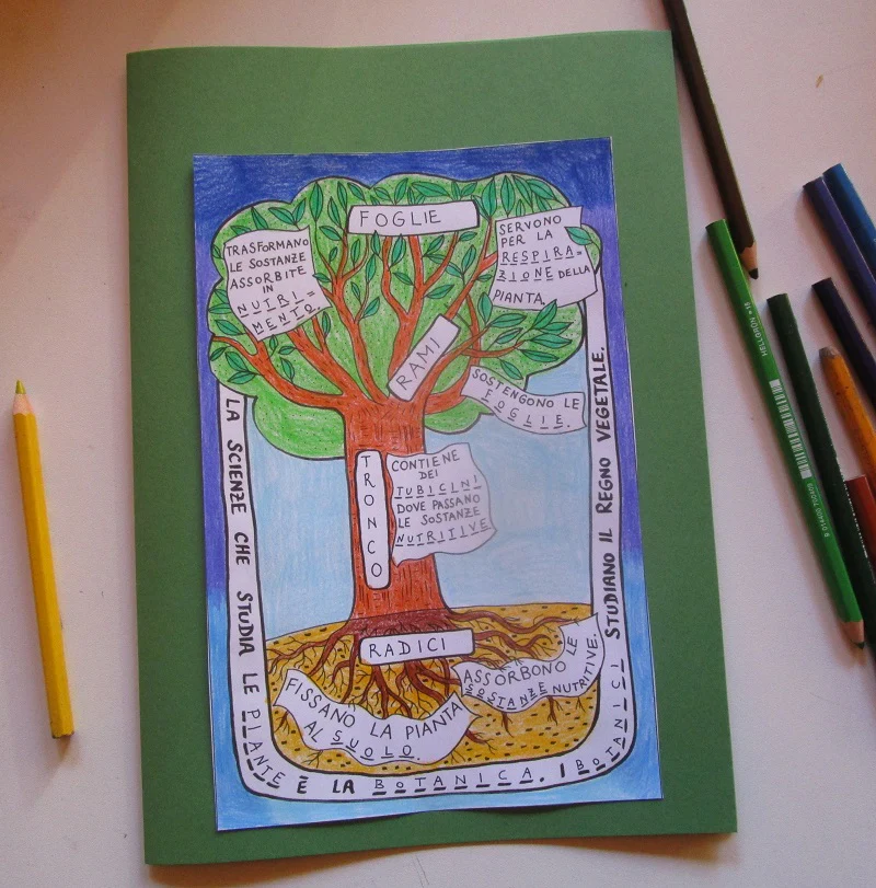 Corso di Scienze 3 Elementare. Un anno in un mese. Formato Pdf. - immagine 4