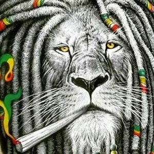 Diamond Painting Rasta Lion