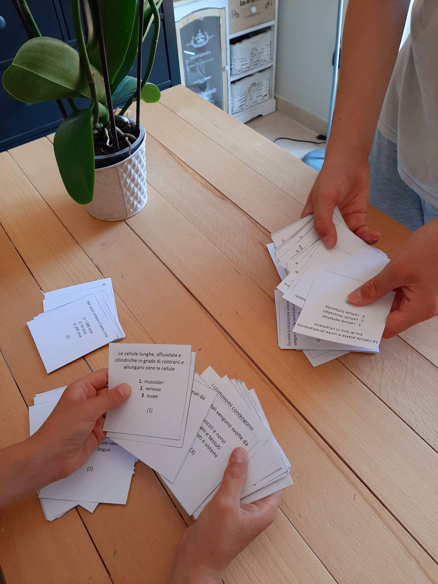 Corso di Scienze 5 Elementare. Un anno in un mese. Formato Pdf. - immagine 3