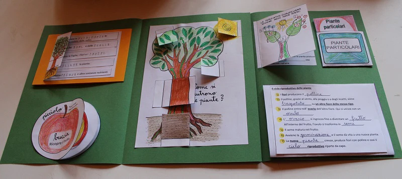 Corso di Scienze 3 Elementare. Un anno in un mese. Formato Pdf. - immagine 3