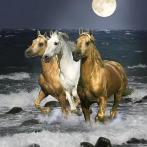 Diamond painting Romantic Horses
