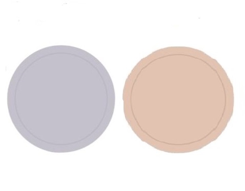 Piatti di Carta Colorati