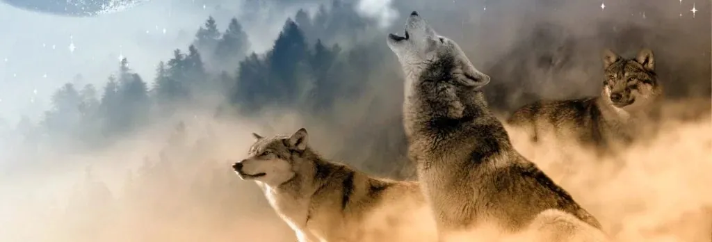 Diamond Painting Lupi nella Nebbia - immagine 2