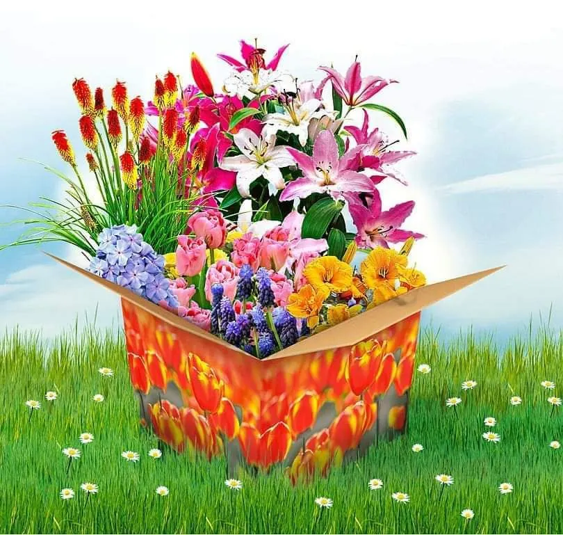 Diamond Painting Mistery Box Pasqua XL