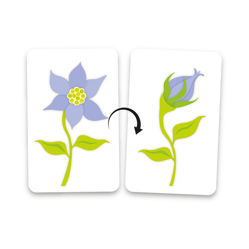 VICE & VERSA – gioco di opposti - immagine 4