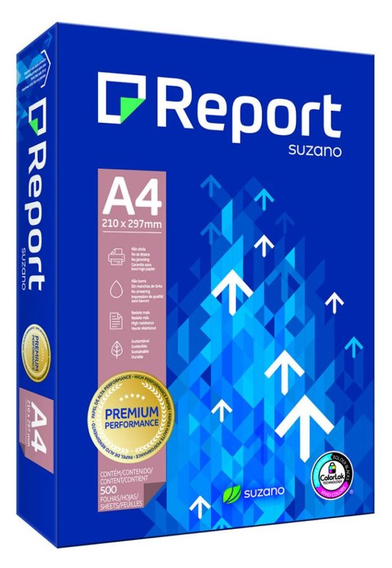 REPORT – Risma Carta Fotocopie A4 - immagine 2