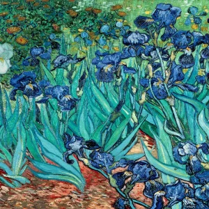 Diamond Painting Iris originali