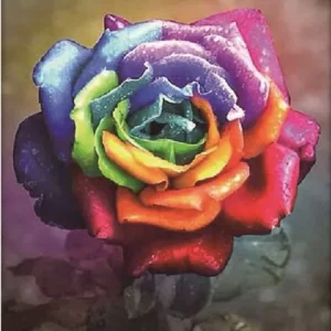 Diamond painting Rosa Multicolor