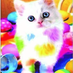 Diamond painting Painter Cat