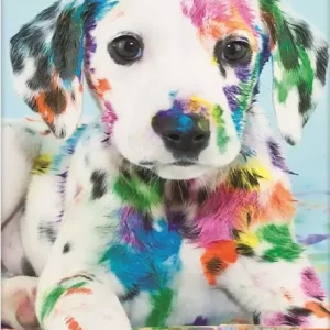 Diamond painting Painter Dog