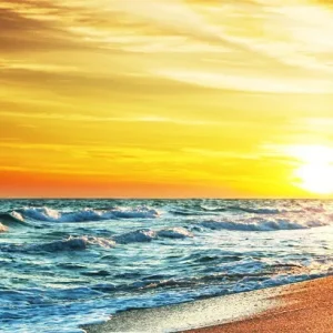 Diamond painting Mare