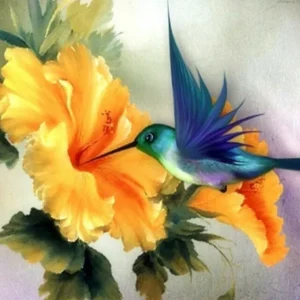 Diamond painting Colibrì