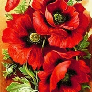 Diamond painting I Papaveri