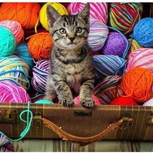 Diamond painting Gatto Creativo