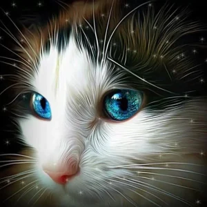 Diamond painting The Cat