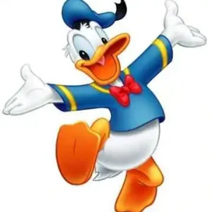 Diamond Painting Paperino