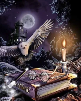 Diamond painting HP - immagine 2