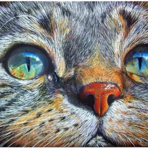 Diamond painting il gatto