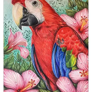 Diamond painting Pappagallo