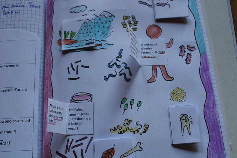 Corso di Scienze 4 Elementare. Un anno in un mese. Formato Pdf. - immagine 8