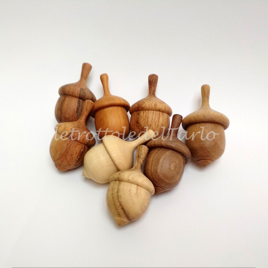 ghianda - immagine 4