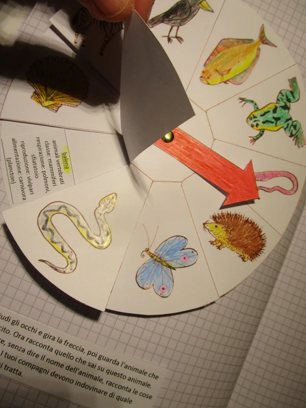 Corso di Scienze 3 Elementare. Un anno in un mese. Formato Pdf. - immagine 8