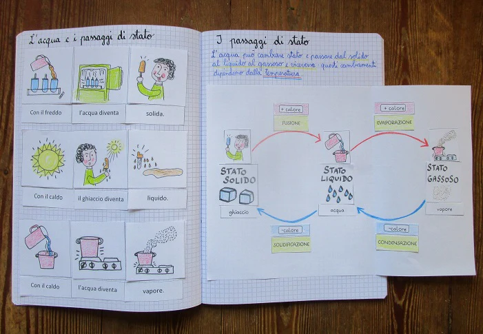 Corso di Scienze 3 Elementare. Un anno in un mese. Formato Pdf. - immagine 9