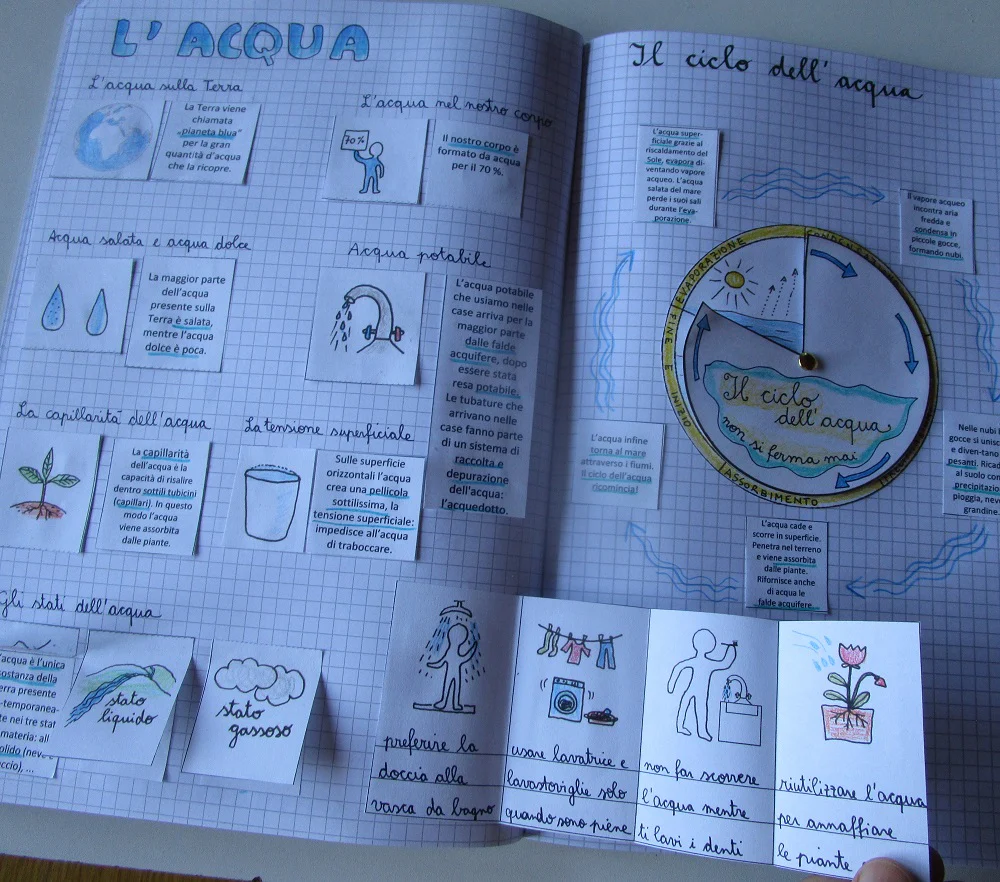 Corso di Scienze 4 Elementare. Un anno in un mese. Formato Pdf. - immagine 6