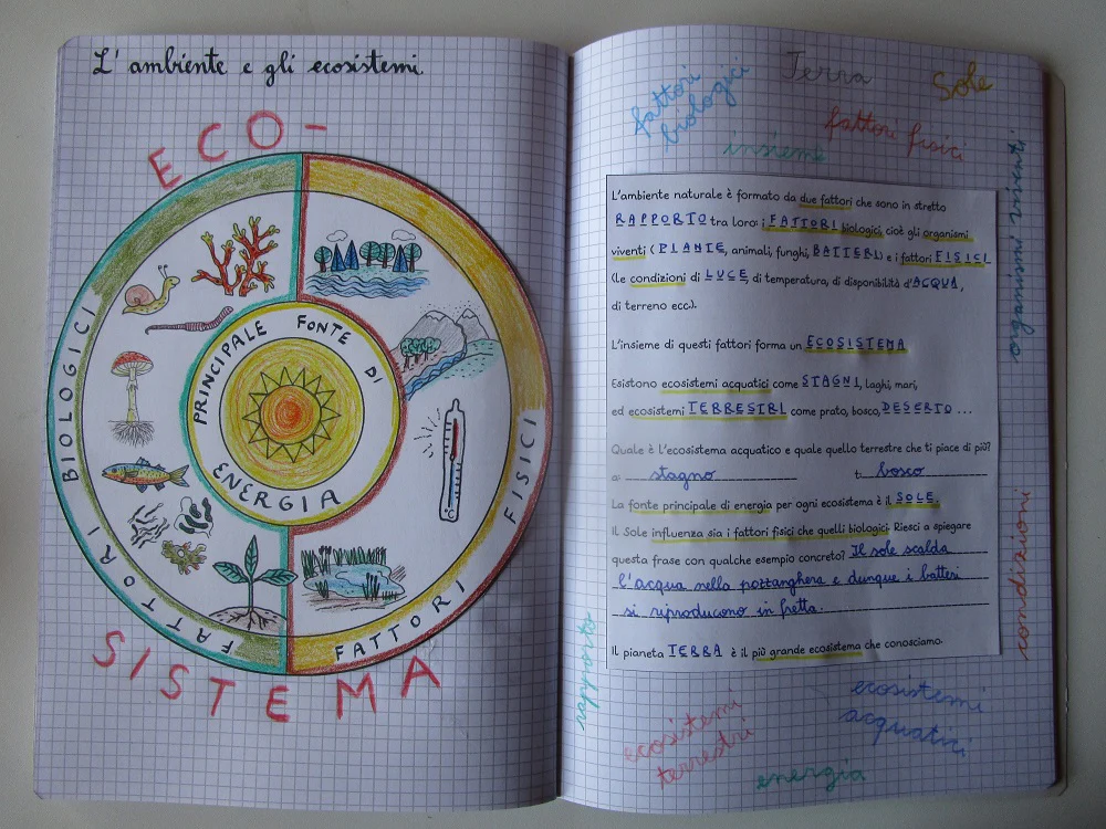 Corso di Scienze 4 Elementare. Un anno in un mese. Formato Pdf. - immagine 5