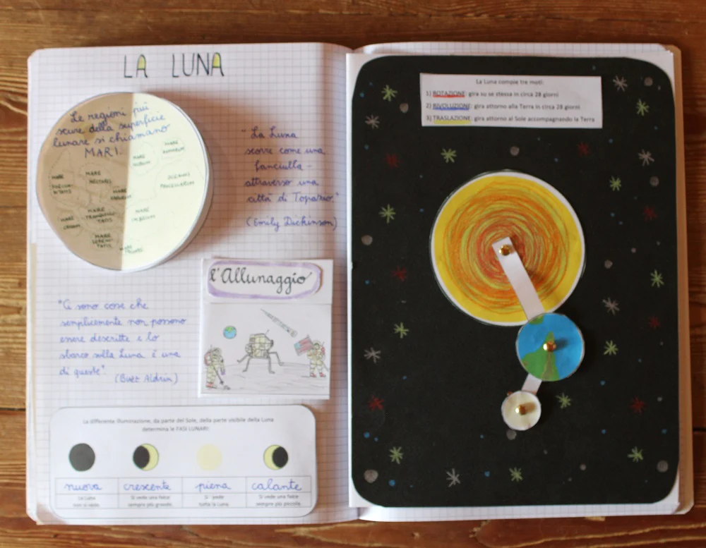 Corso di Scienze 5 Elementare. Un anno in un mese. Formato Pdf. - immagine 7