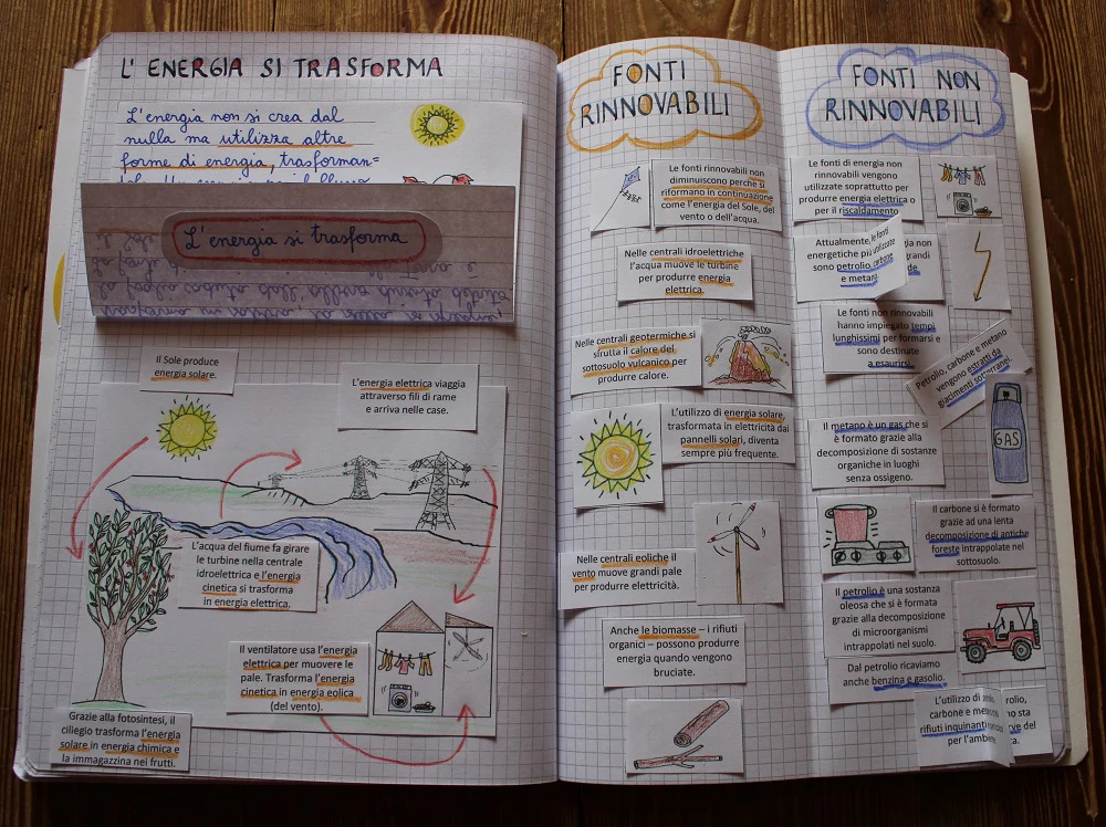 Corso di Scienze 5 Elementare. Un anno in un mese. Formato Pdf. - immagine 8