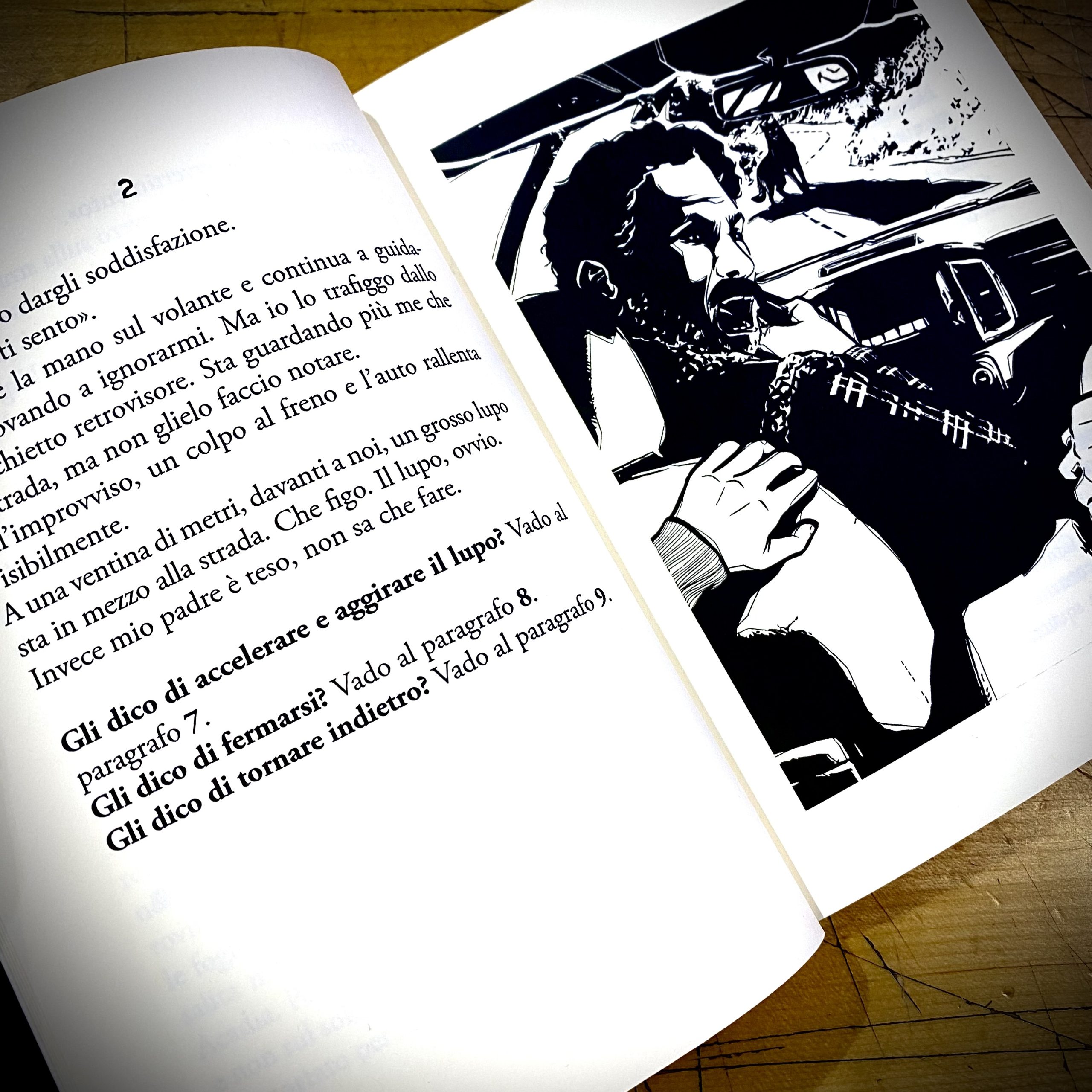 IL LUPO DEL MAINE - immagine 3