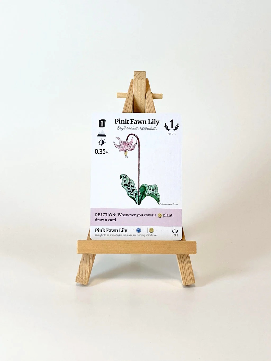 Reforest - immagine 4