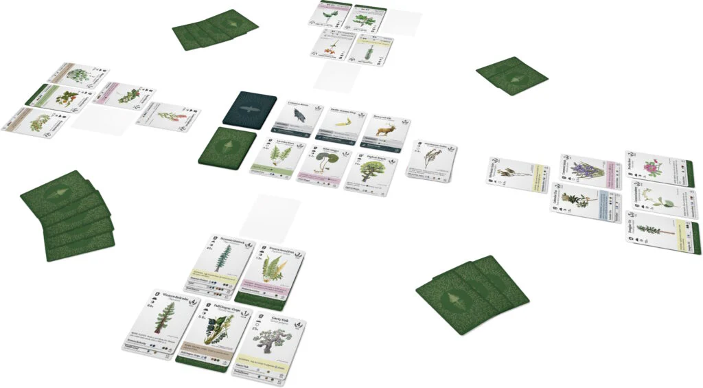 Reforest - immagine 5