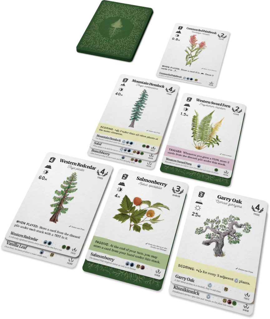 Reforest - immagine 6