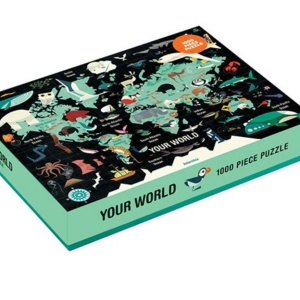 YOUR WORLD PUZZLE – 1000pz (inglese)