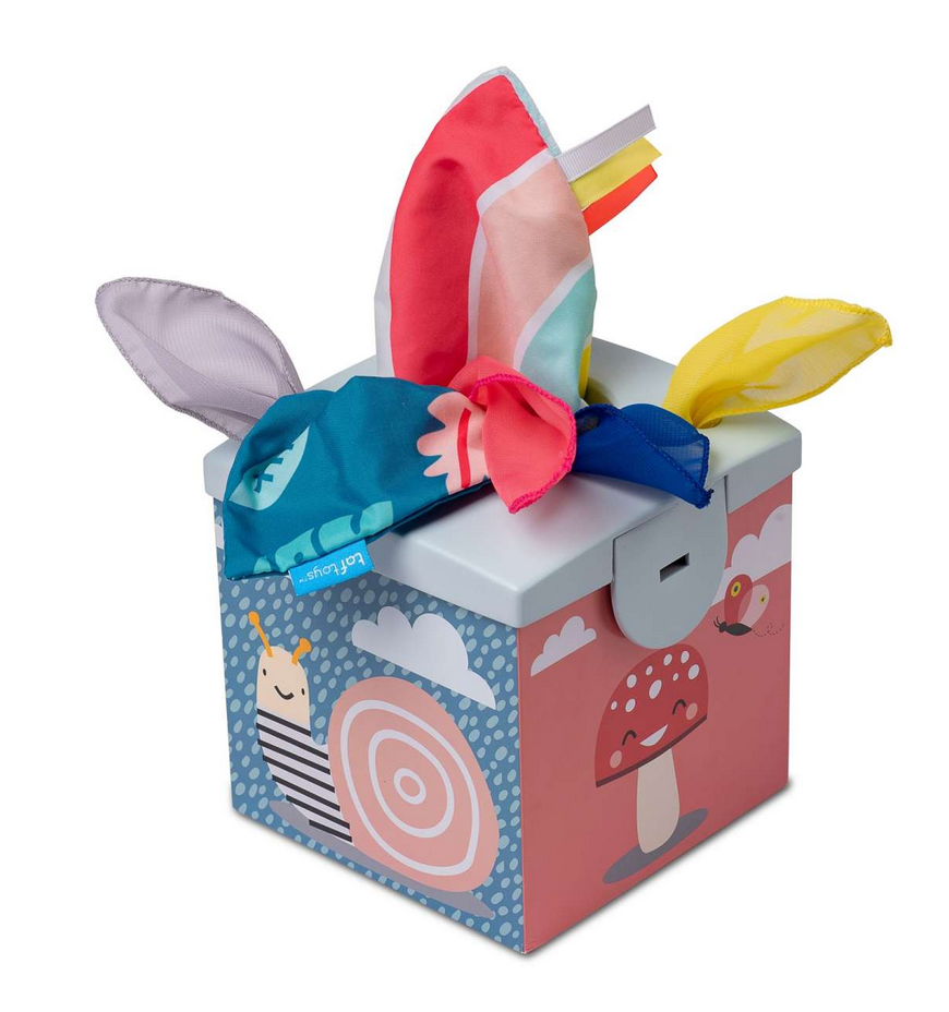 Box Fazzoletti koala