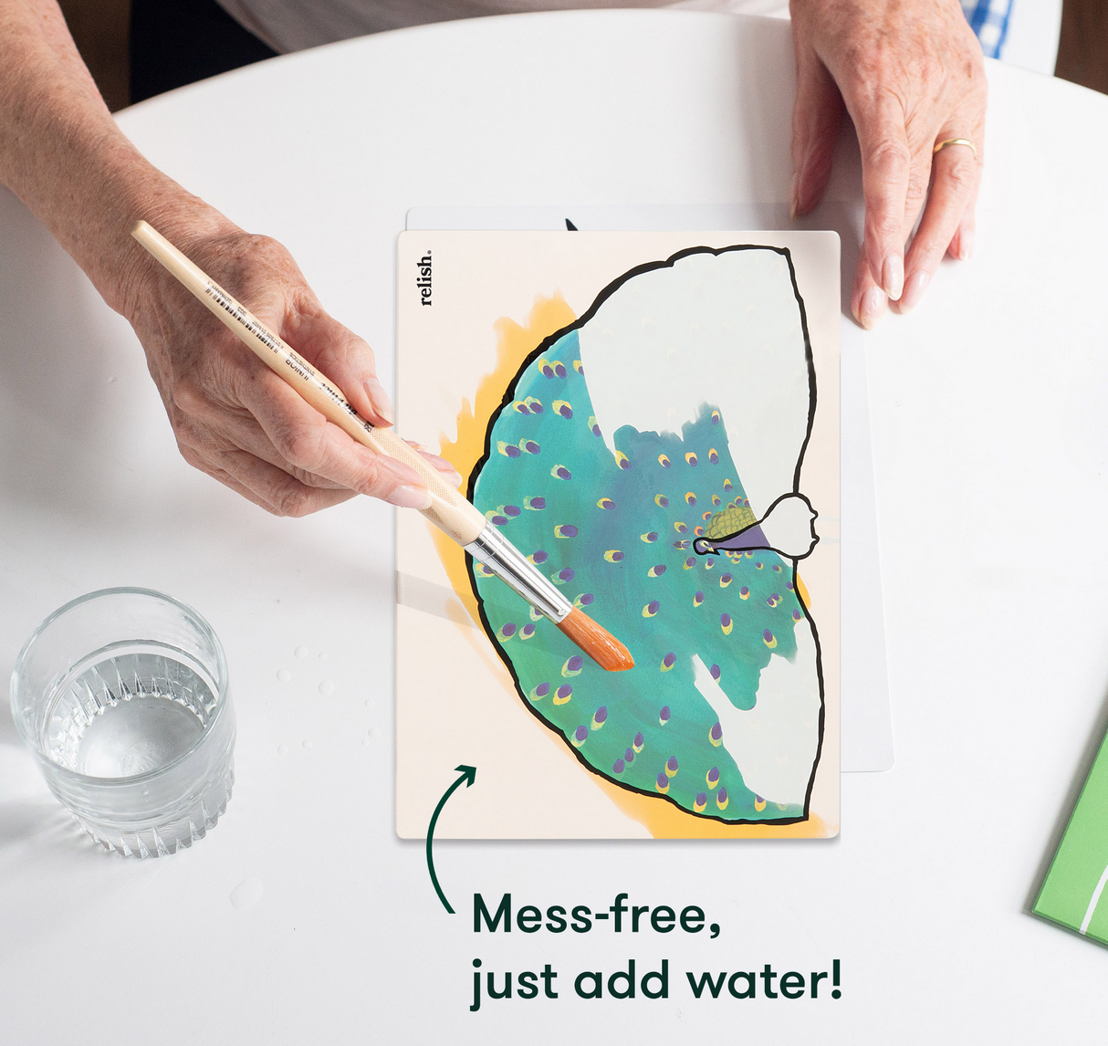 ACQUAPAINT PER SENIORS – wonderful animals - immagine 5