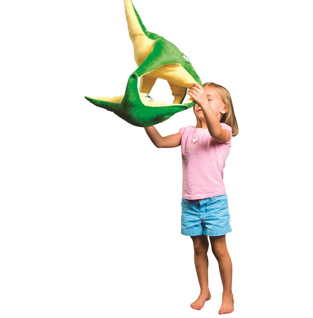 2 SMILING STARS FISH – BASALE - immagine 4