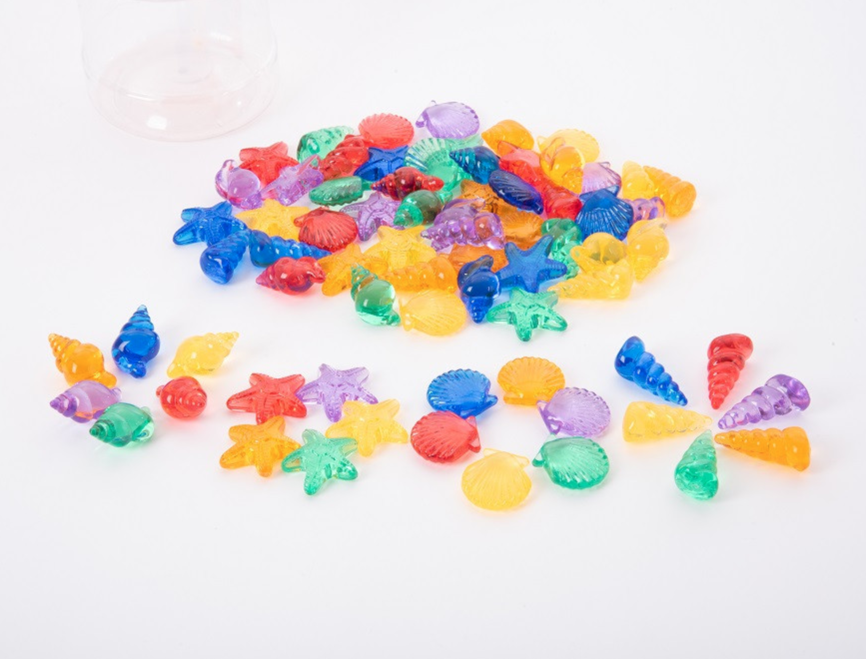 CONCHIGLIE TRASLUCENTI – 71 PZ