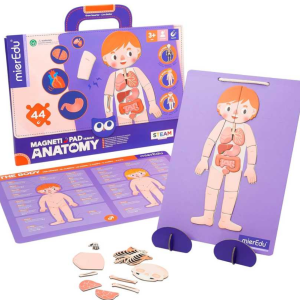 IMPARA L’ANATOMIA – magnetico
