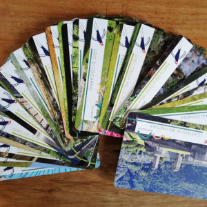 COFANETTO “SORPRENDITI”