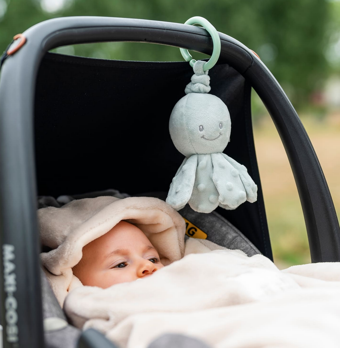 POLIPO VIBRANTE - immagine 4