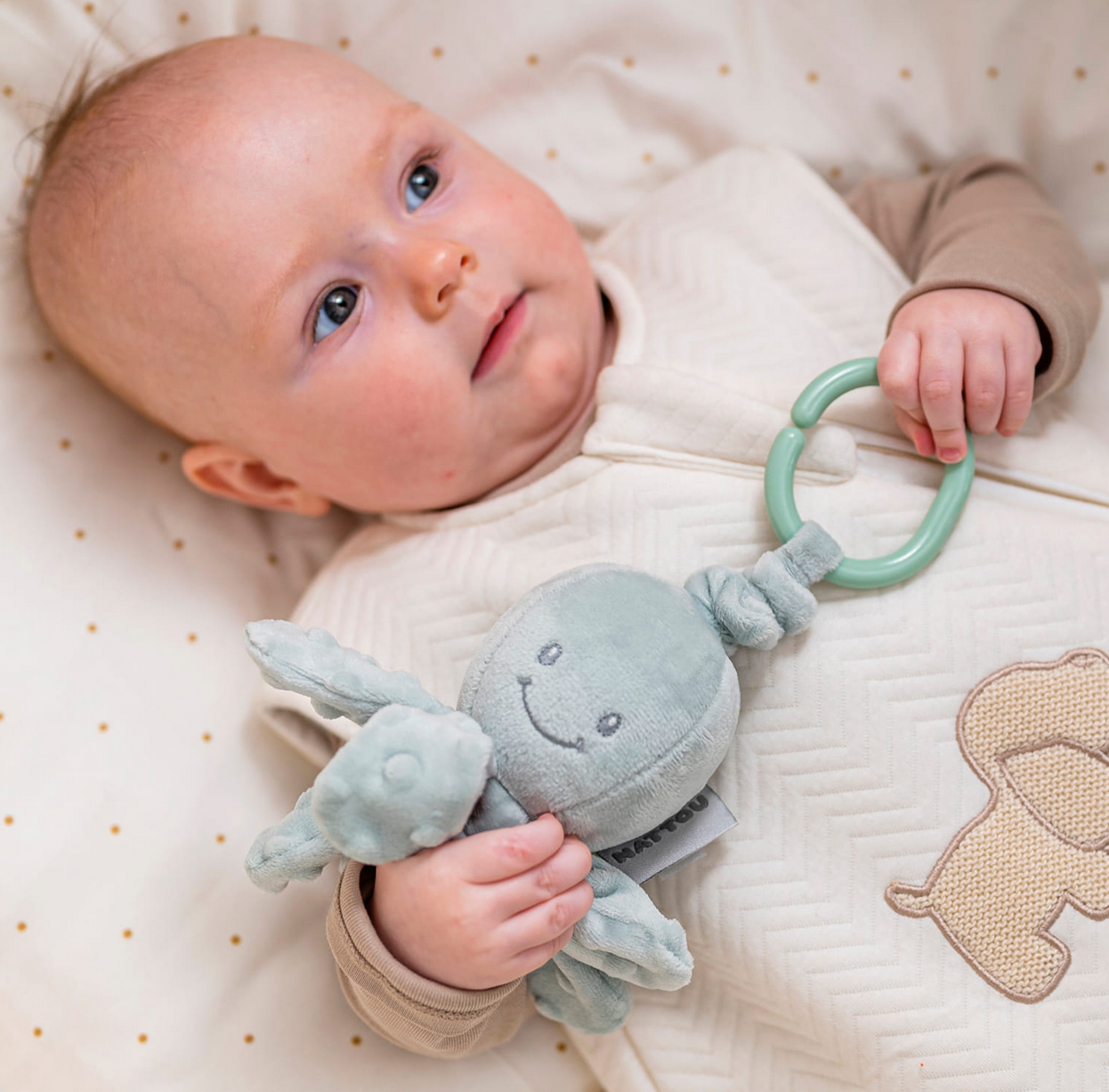 POLIPO VIBRANTE - immagine 3