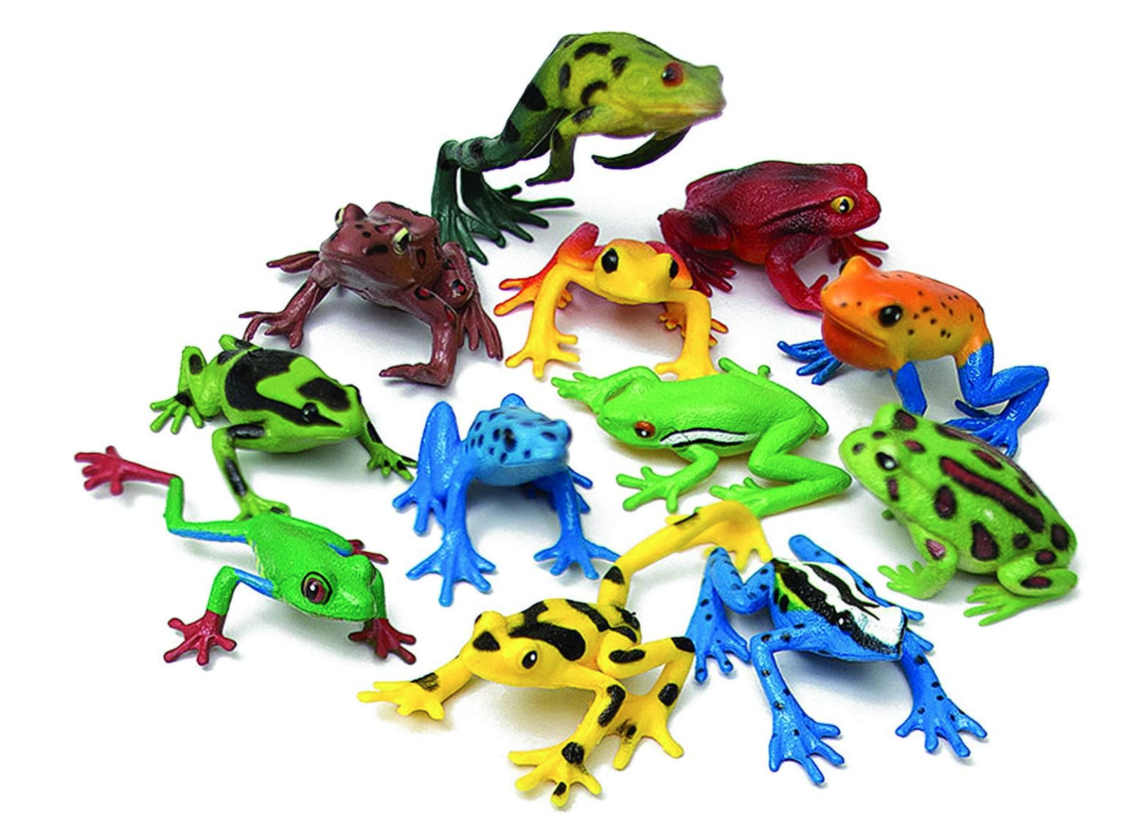 12 RANE PER GIOCO SENSORIALE - immagine 3