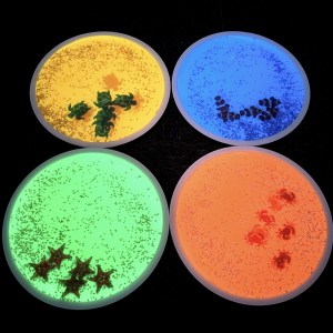 4 PIASTRELLE PER LUCE UV