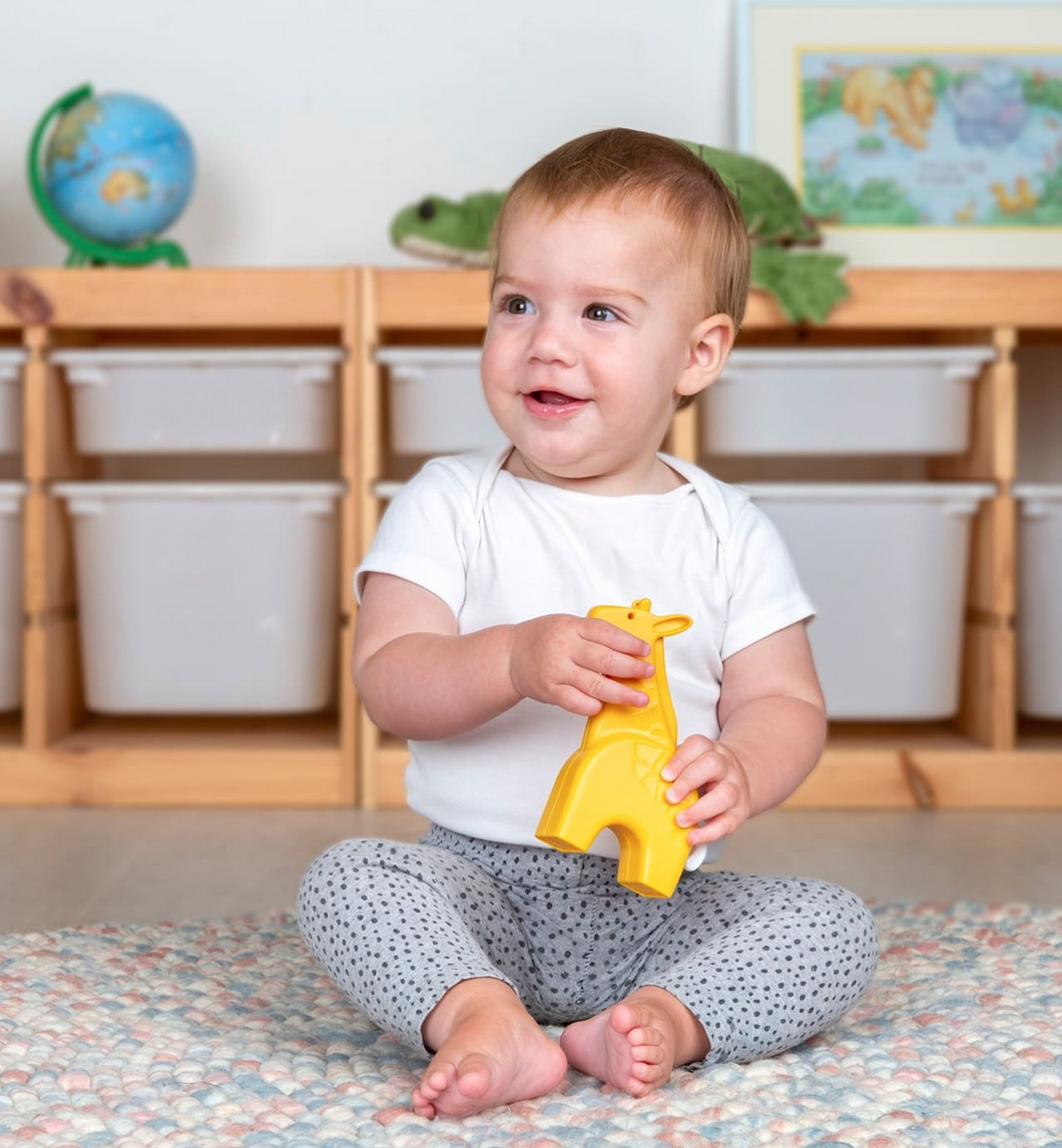 SAVANNAH TRIO BAND – animali sonori - immagine 3